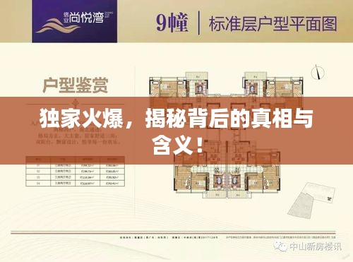 獨(dú)家火爆，揭秘背后的真相與含義！