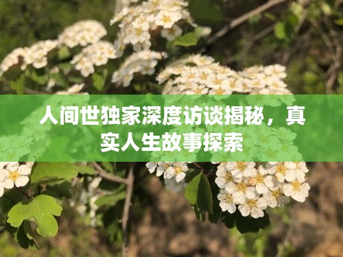 人間世獨(dú)家深度訪談揭秘，真實(shí)人生故事探索