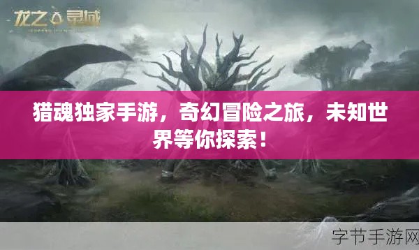 獵魂獨(dú)家手游，奇幻冒險(xiǎn)之旅，未知世界等你探索！