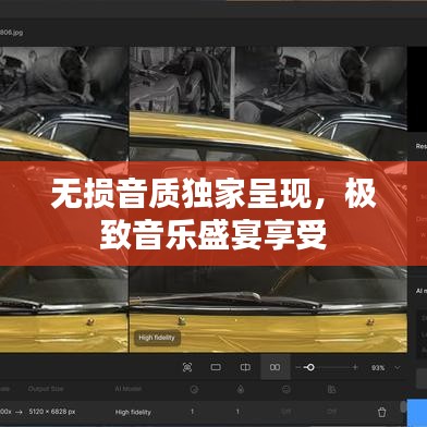 無損音質(zhì)獨家呈現(xiàn)，極致音樂盛宴享受