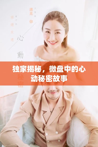 獨家揭秘，微盤中的心動秘密故事