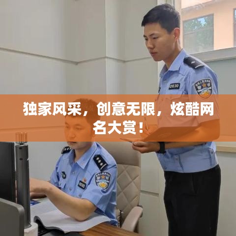 獨(dú)家風(fēng)采，創(chuàng)意無(wú)限，炫酷網(wǎng)名大賞！