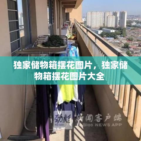 獨家儲物箱擺花圖片，獨家儲物箱擺花圖片大全 