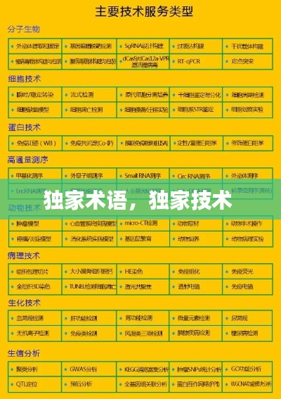 獨(dú)家術(shù)語(yǔ)，獨(dú)家技術(shù) 