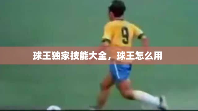 球王獨家技能大全，球王怎么用 