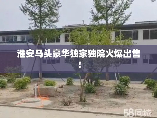 淮安馬頭豪華獨家獨院火爆出售！