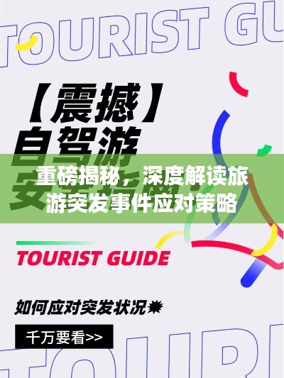 重磅揭秘，深度解讀旅游突發(fā)事件應(yīng)對(duì)策略