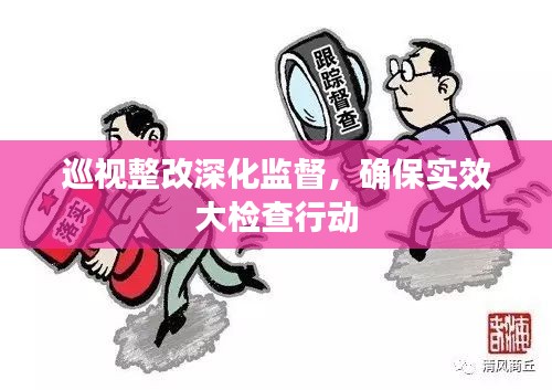 巡視整改深化監(jiān)督，確保實(shí)效大檢查行動(dòng)