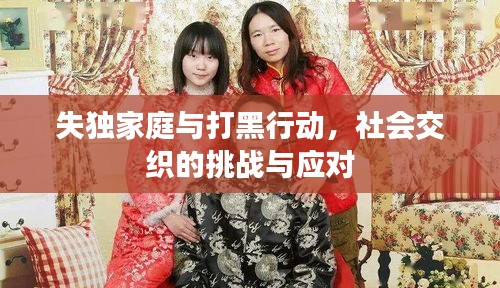 失獨(dú)家庭與打黑行動(dòng)，社會(huì)交織的挑戰(zhàn)與應(yīng)對(duì)