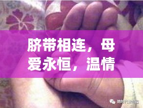 臍帶相連，母愛永恒，溫情長(zhǎng)存