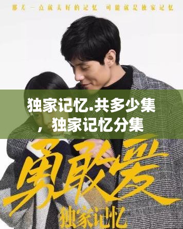 獨(dú)家記憶.共多少集，獨(dú)家記憶分集 