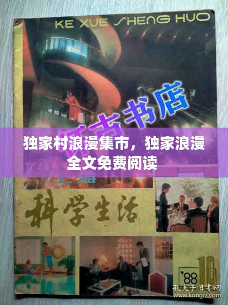 獨(dú)家村浪漫集市，獨(dú)家浪漫全文免費(fèi)閱讀 
