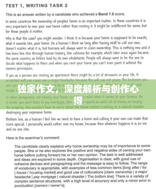 獨家作文，深度解析與創(chuàng)作心得