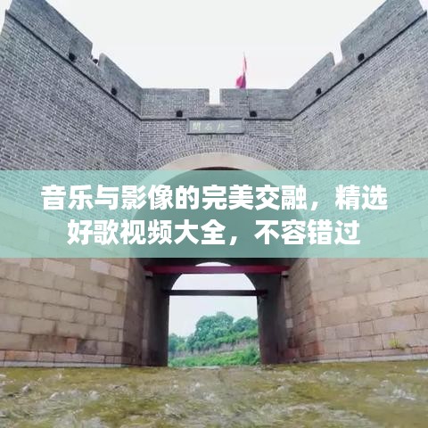 音樂與影像的完美交融，精選好歌視頻大全，不容錯過