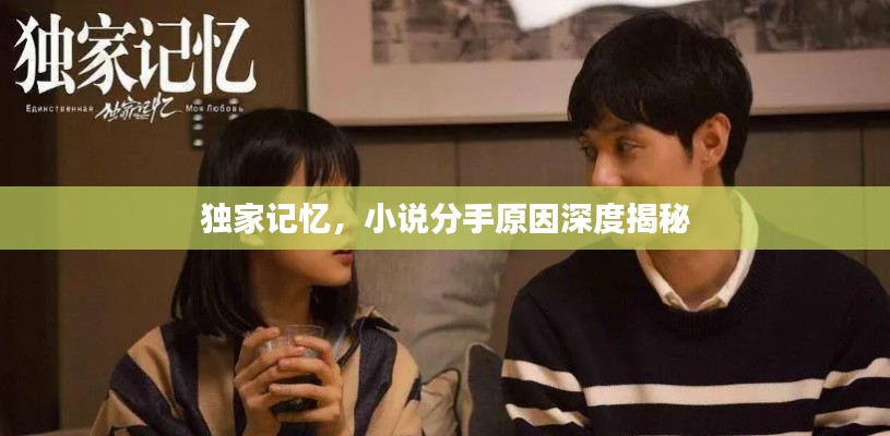 獨家記憶，小說分手原因深度揭秘