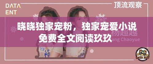 曉曉獨家寵粉，獨家寵愛小說免費全文閱讀玖玖 