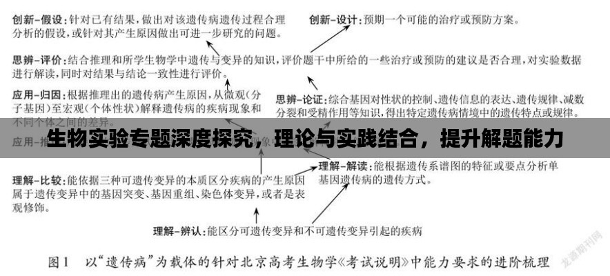 生物實(shí)驗(yàn)專題深度探究，理論與實(shí)踐結(jié)合，提升解題能力