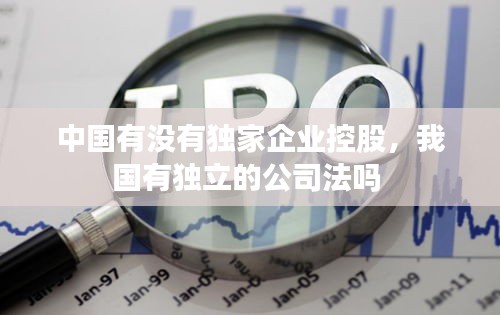 中國有沒有獨家企業(yè)控股，我國有獨立的公司法嗎 