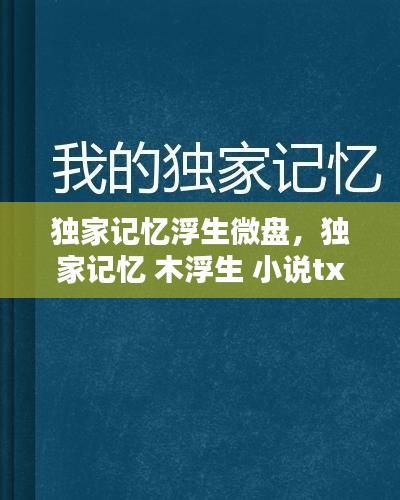 獨(dú)家記憶浮生微盤，獨(dú)家記憶 木浮生 小說(shuō)txt 