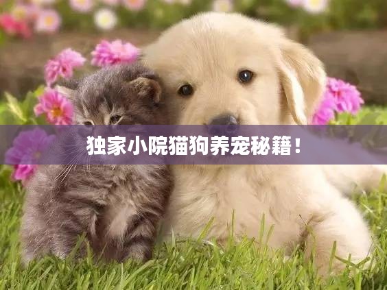 獨家小院貓狗養(yǎng)寵秘籍！