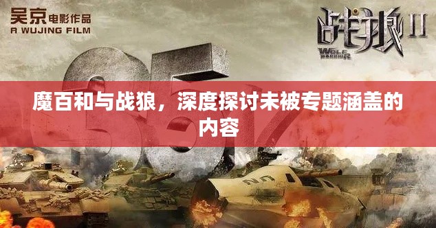 魔百和與戰(zhàn)狼，深度探討未被專題涵蓋的內(nèi)容