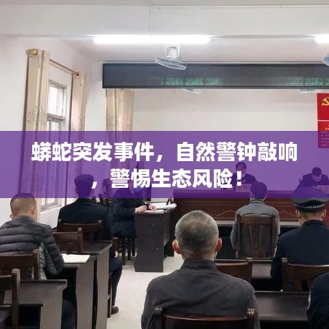 蟒蛇突發(fā)事件，自然警鐘敲響，警惕生態(tài)風險！