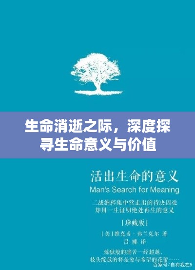 生命消逝之際，深度探尋生命意義與價(jià)值