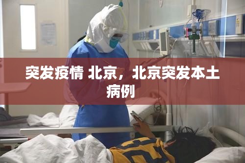 飛揚跋扈 第2頁