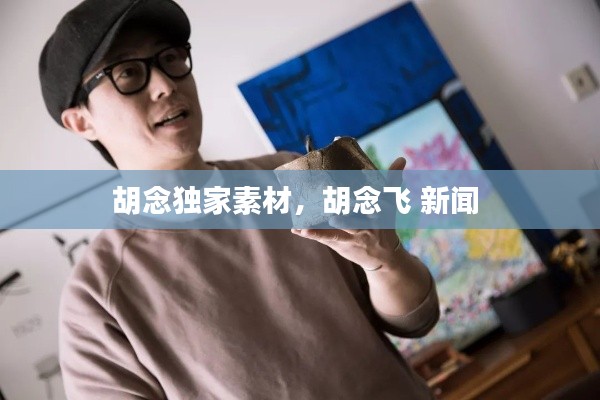 胡念獨(dú)家素材，胡念飛 新聞 
