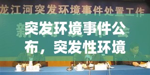 張皇鋪飾 第2頁