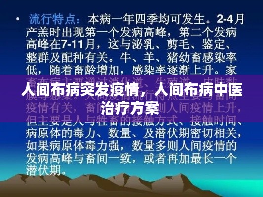 人間布病突發(fā)疫情，人間布病中醫(yī)治療方案 