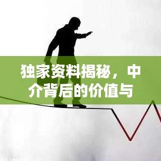 獨(dú)家資料揭秘，中介背后的價(jià)值與操作策略探討