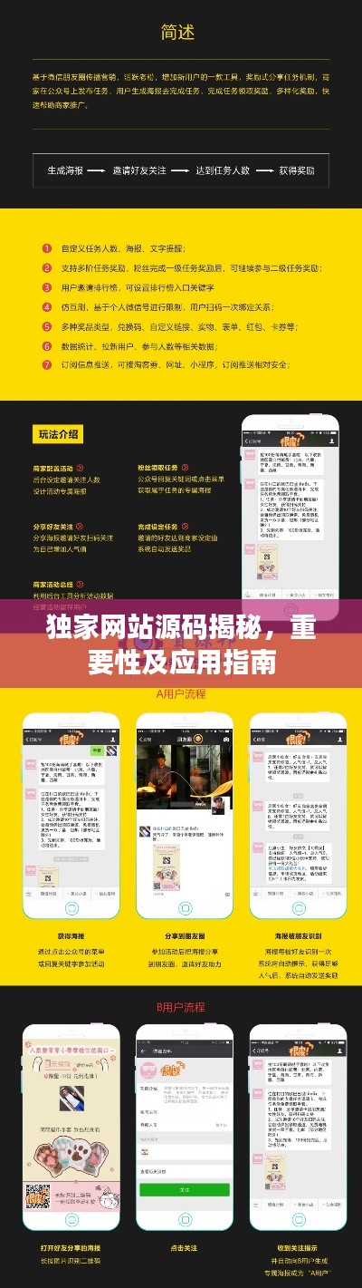 獨(dú)家網(wǎng)站源碼揭秘，重要性及應(yīng)用指南
