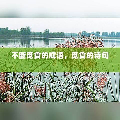 不斷覓食的成語，覓食的詩句 
