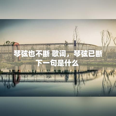 琴弦也不斷 歌詞，琴弦已斷下一句是什么 