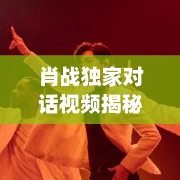 肖戰(zhàn)獨(dú)家對話視頻揭秘，真實(shí)自我的深度交流時(shí)刻