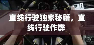 直線行駛獨家秘籍，直線行駛作弊 