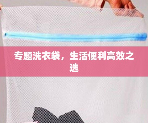 專題洗衣袋，生活便利高效之選