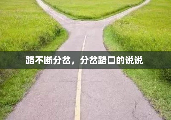 路不斷分岔，分岔路口的說說 