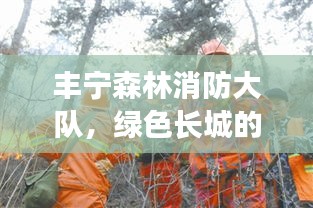 豐寧森林消防大隊(duì)，綠色長(zhǎng)城的英勇守護(hù)者