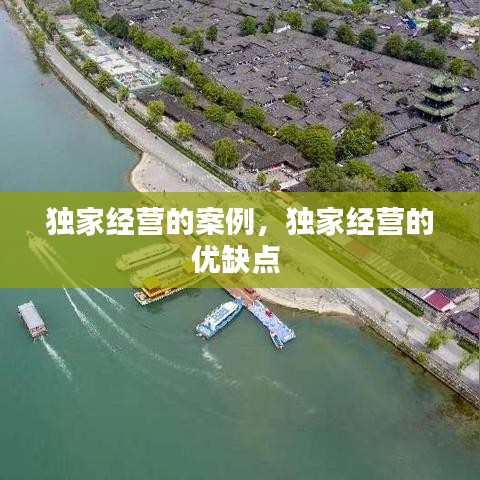 獨家經(jīng)營的案例，獨家經(jīng)營的優(yōu)缺點 