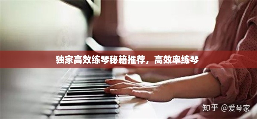 獨(dú)家高效練琴秘籍推薦，高效率練琴 