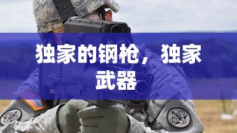 獨(dú)家的鋼槍，獨(dú)家武器 