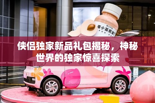 俠侶獨(dú)家新品禮包揭秘，神秘世界的獨(dú)家驚喜探索