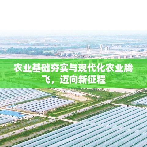 農(nóng)業(yè)基礎(chǔ)夯實與現(xiàn)代化農(nóng)業(yè)騰飛，邁向新征程
