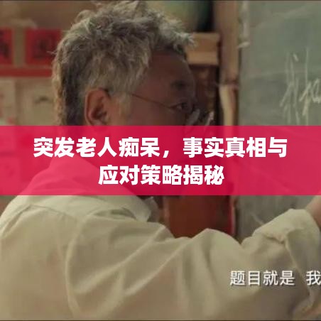 突發(fā)老人癡呆，事實真相與應(yīng)對策略揭秘