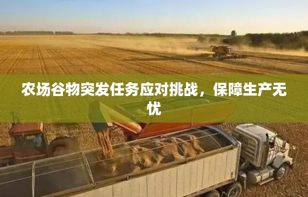農(nóng)場谷物突發(fā)任務(wù)應(yīng)對挑戰(zhàn)，保障生產(chǎn)無憂