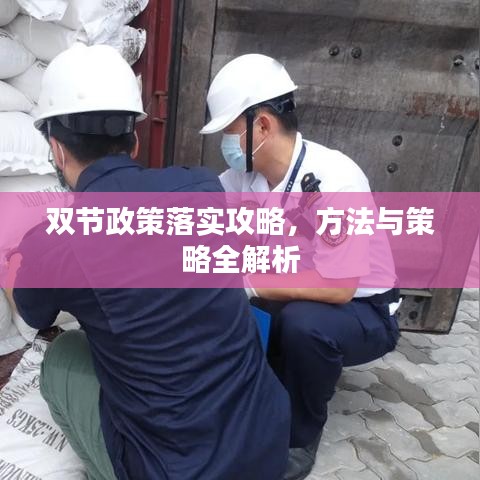 雙節(jié)政策落實(shí)攻略，方法與策略全解析