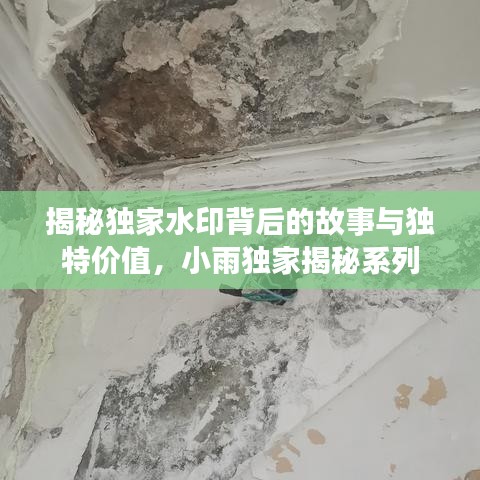 揭秘獨(dú)家水印背后的故事與獨(dú)特價(jià)值，小雨獨(dú)家揭秘系列