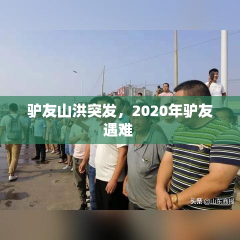 夫妻本是同林鳥 第2頁